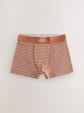 Sous-vêtements Next en bleu