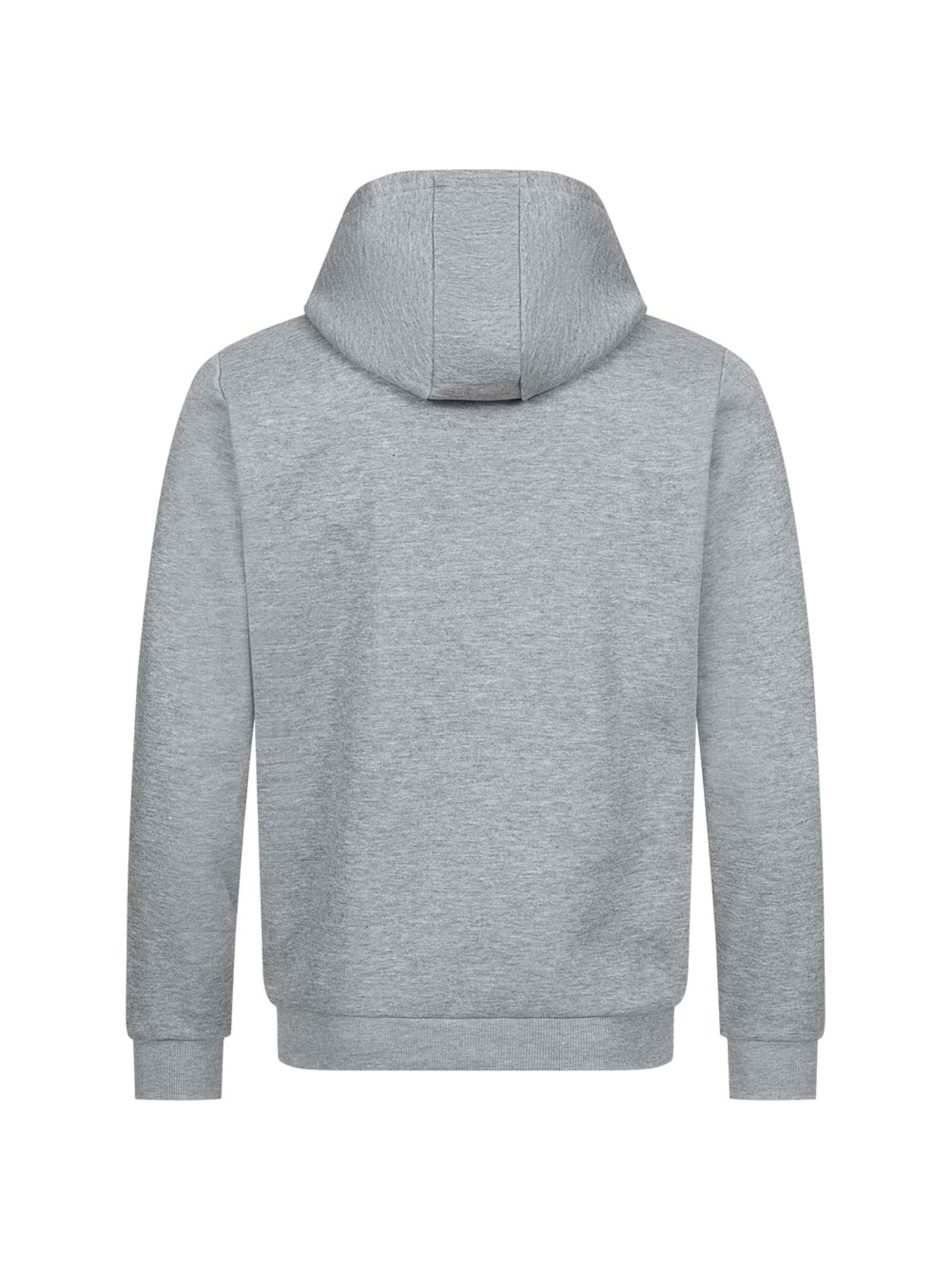 PIERRE CARDIN Hoodie in Grau