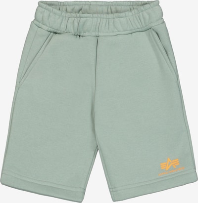 ALPHA INDUSTRIES Hlače u pastelno zelena / narančasta, Pregled proizvoda