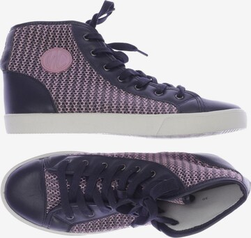 Marc Cain Sneakers & Trainers in 39 in Purple: front