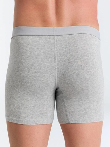 Albero Natur Boxer shorts in Grey