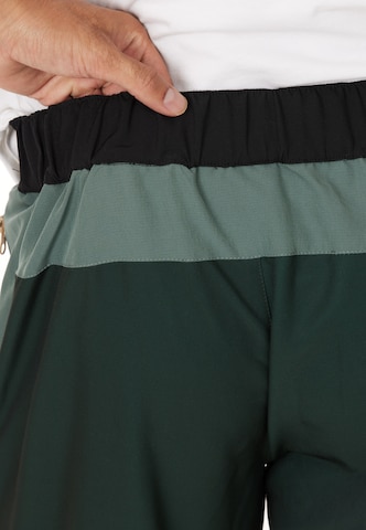 Whistler Regular Outdoor Pants 'Saldon' in Green