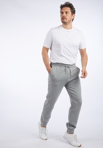 HECHTER PARIS Tapered Trousers in Grey