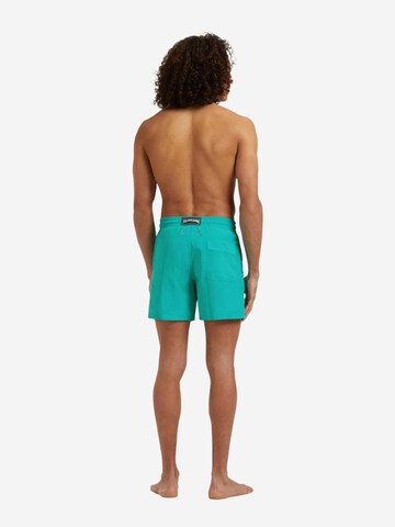 Vilebrequin Zwemshorts in Groen
