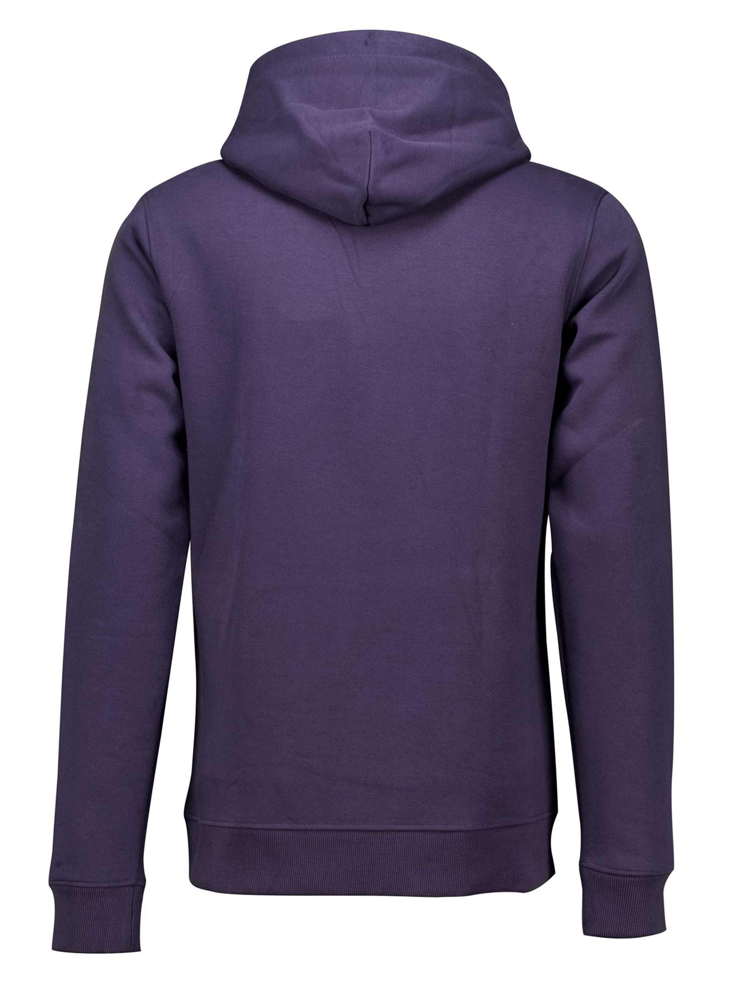 Deeluxe Sweatshirt‌‌‌‌‌‌ in Blau