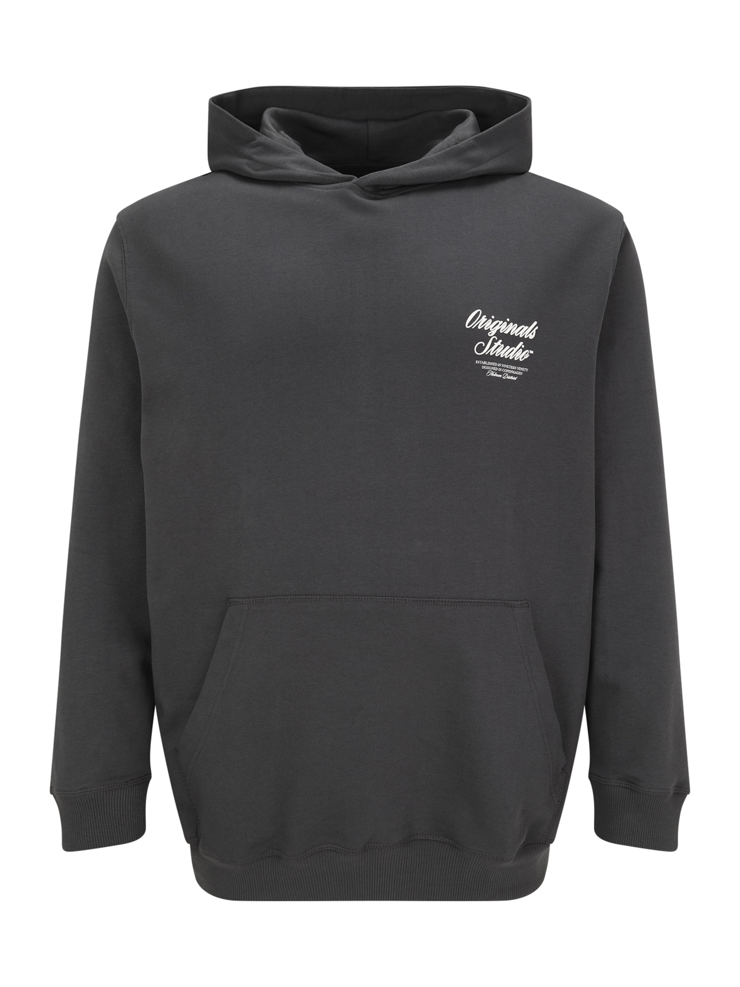 Jack & Jones Plus Mikina 'JORNORREBRO' – šedá: přední strana