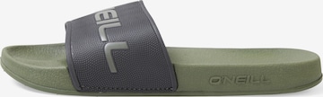 O'NEILL Beach & swim shoe in Grey: front
