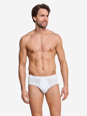 SCHIESSER Slip 'Cotton Essentials Feinripp' in Mixed colours