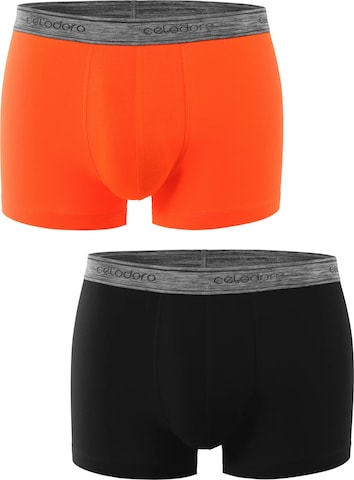 celodoro Boxershorts 'Elastix' in Orange: Vorderseite