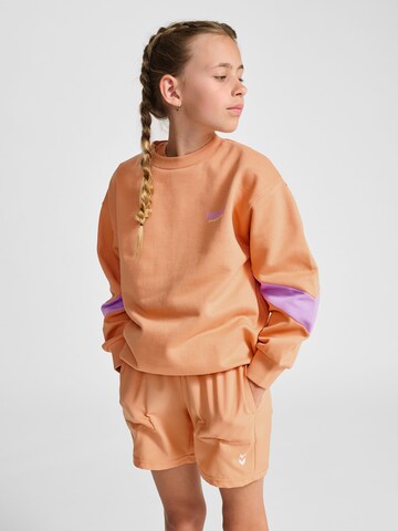 Hummel Sweatshirt in Orange