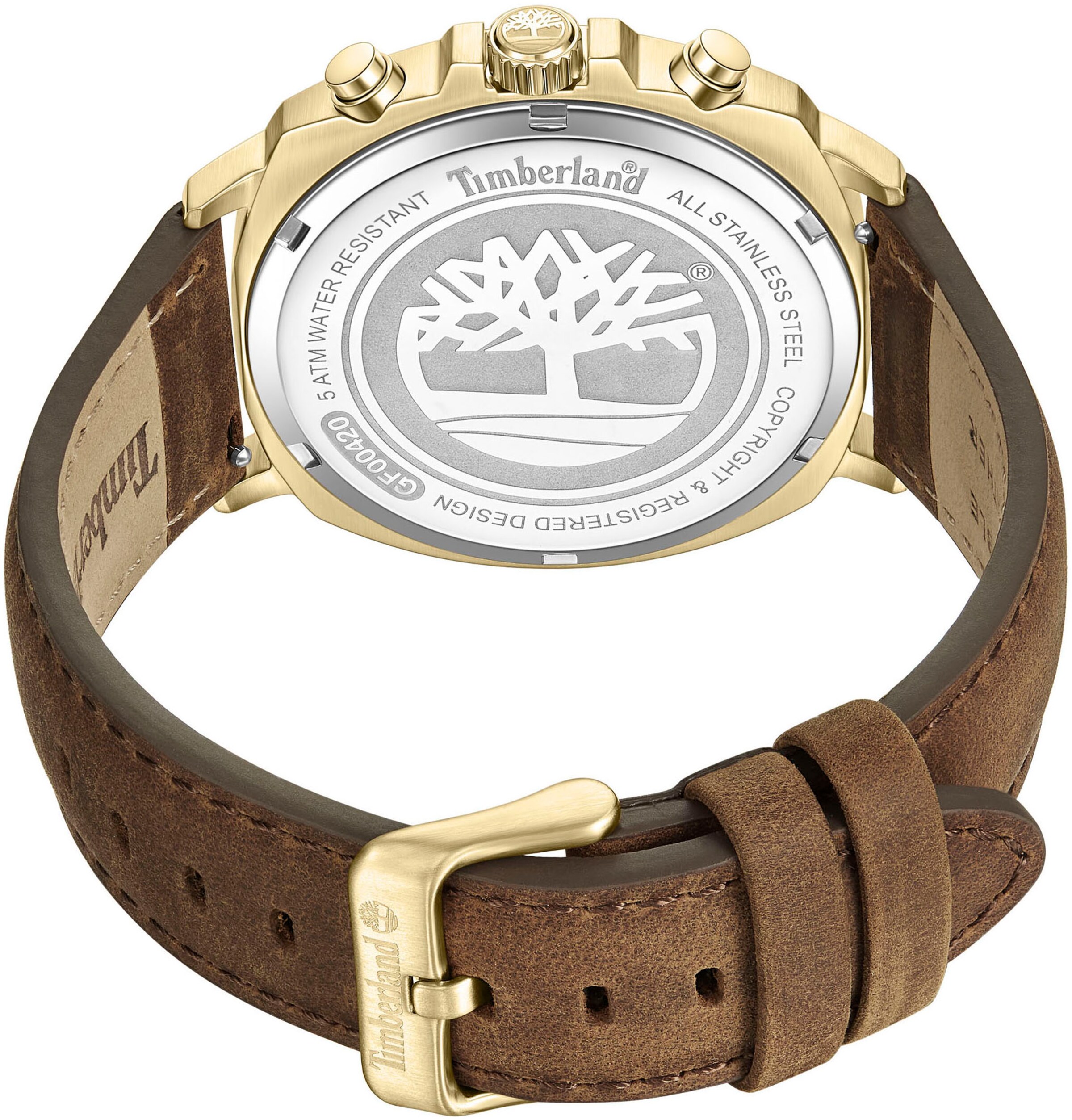 TIMBERLAND Analog Watch in Gold