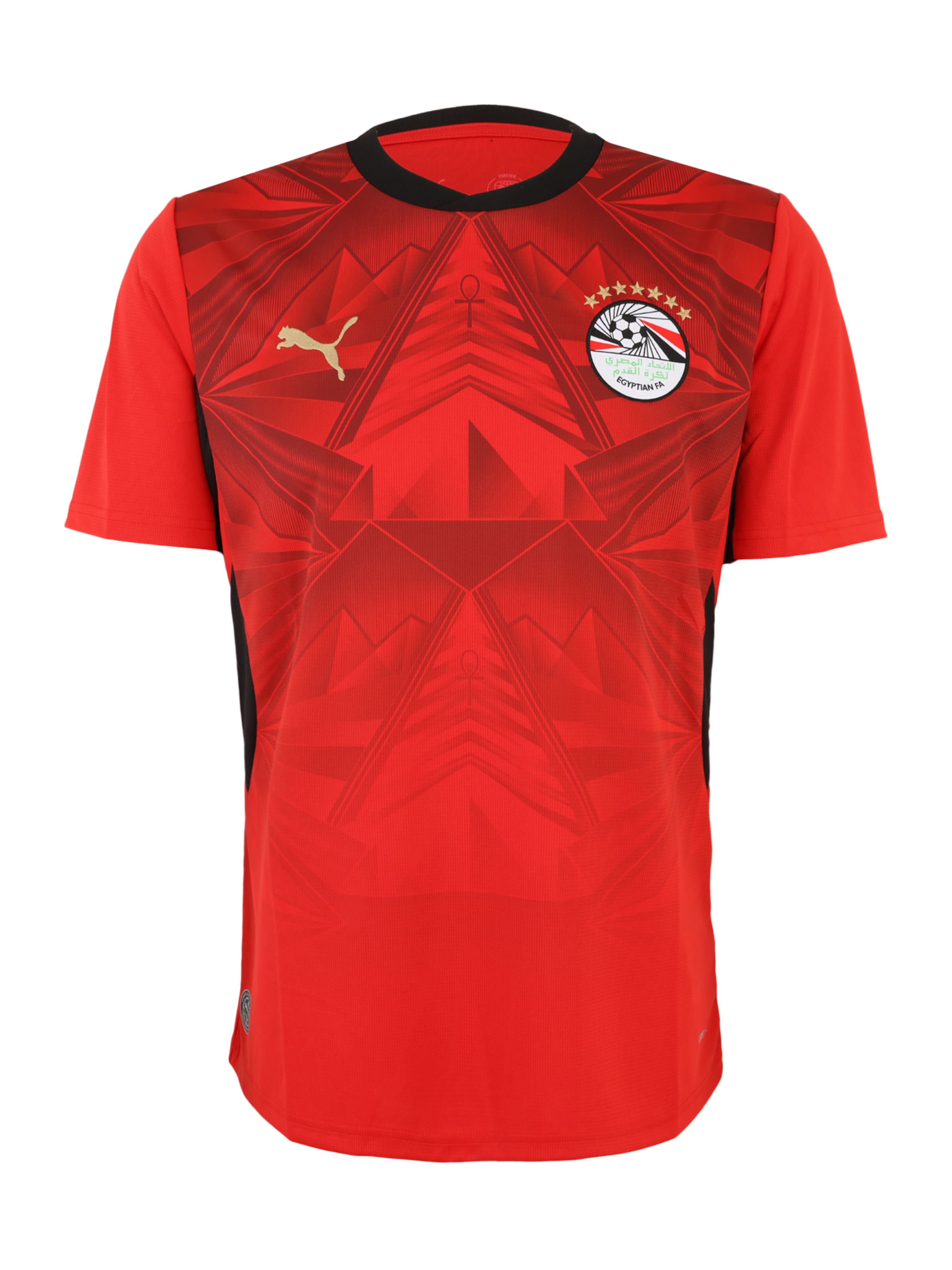 Maglia trikot 'EFA Home' PUMA di colore rosso / rosso scuro / nero / bianco, Visualizzazione prodotti