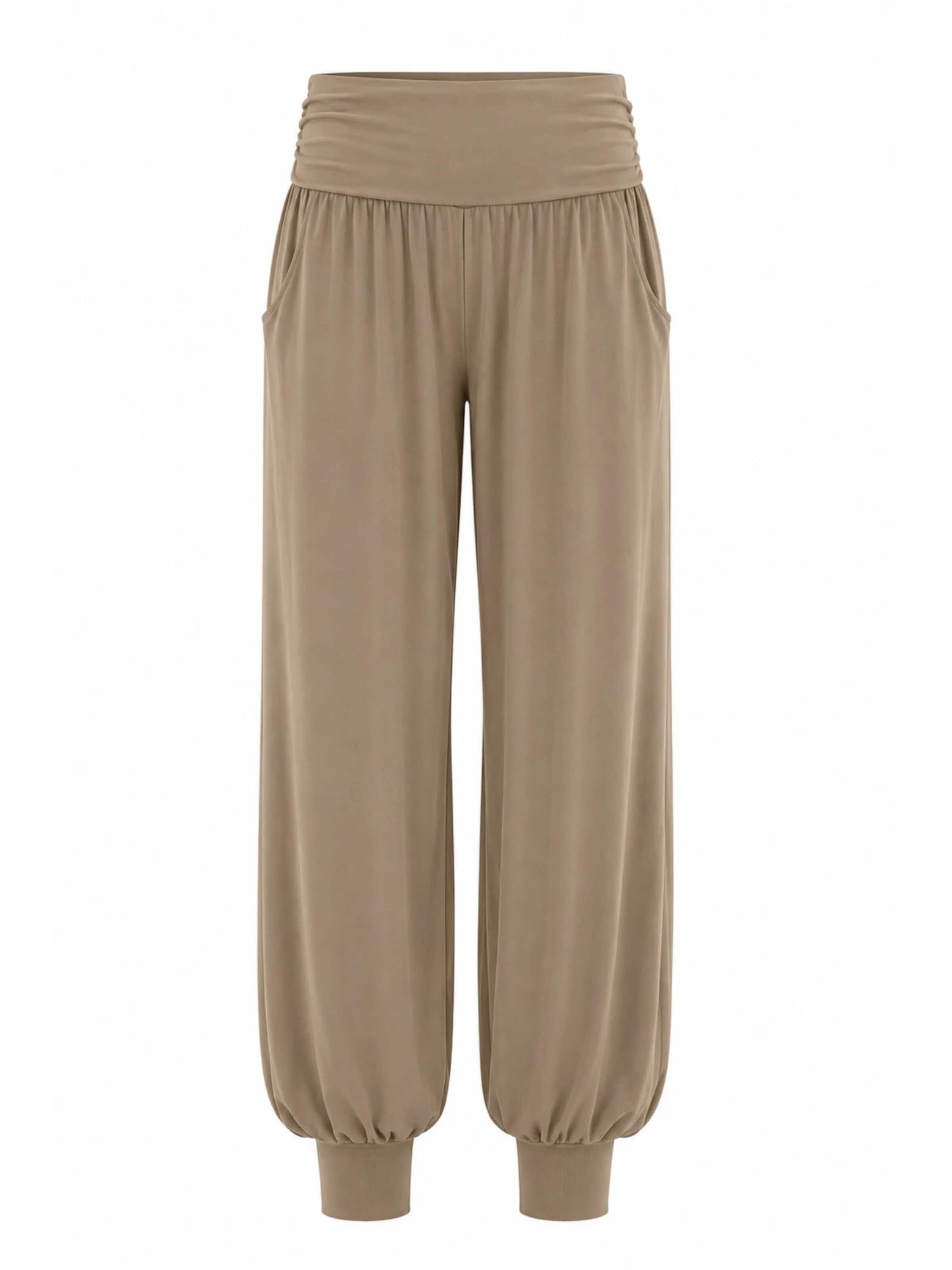 True North Pants 'Yogahose' in Brown: front