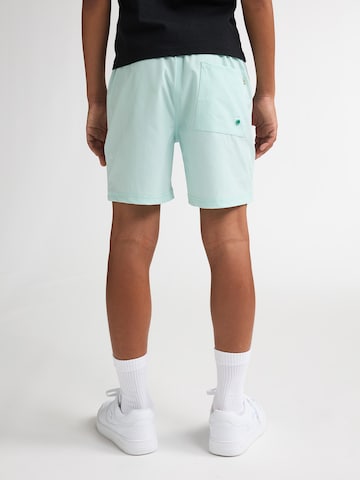 Petrol Industries Bathing trunks 'Cholla' in Green