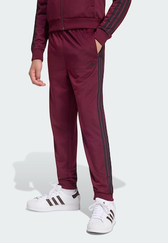 Tapered Pantaloni 'SST' di ADIDAS ORIGINALS in rosso: frontale