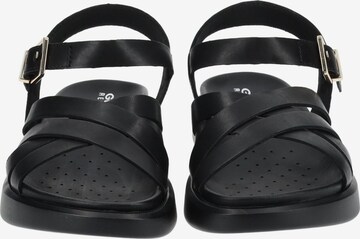 GEOX Strap Sandals in Black