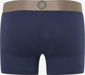 Calvin Klein Underwear - Calzoncillo boxer en azul