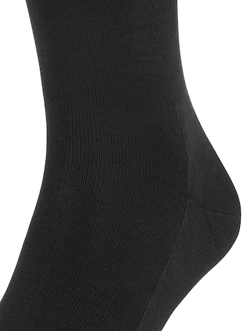FALKE Knee High Socks 'Family' in Black