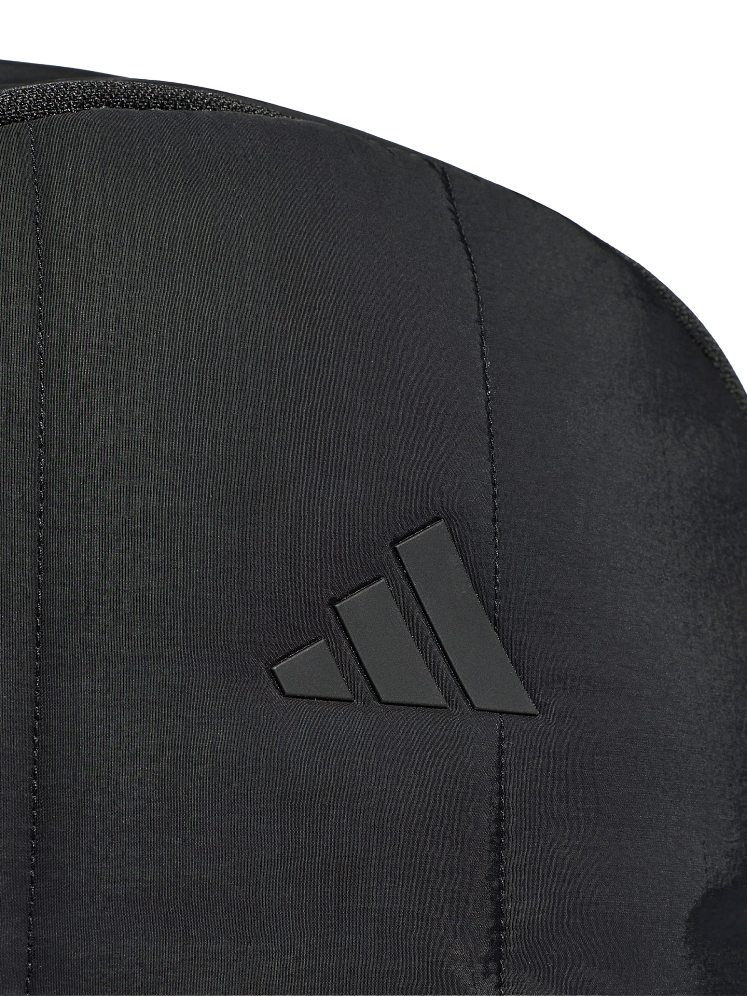 ADIDAS PERFORMANCE Σπορ σακίδιο πλάτης 'WINTER' σε μαύρο
