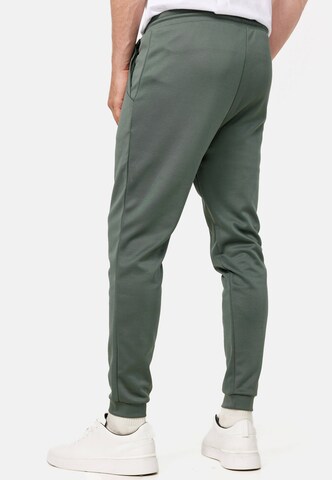 Ordinary Truffle Regular Pants 'Blaer' in Green