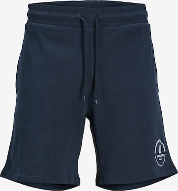 Jack & Jones Plus Regular Pants in Blue: front