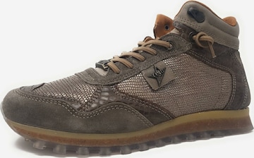 Cetti High-Top Sneakers in Mottled Brown ABOUT YOU