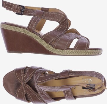 SIOUX Sandals & High-Heeled Sandals in 39 in Brown: front