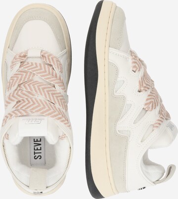 STEVE MADDEN - Zapatillas deportivas bajas 'ROARING' en blanco