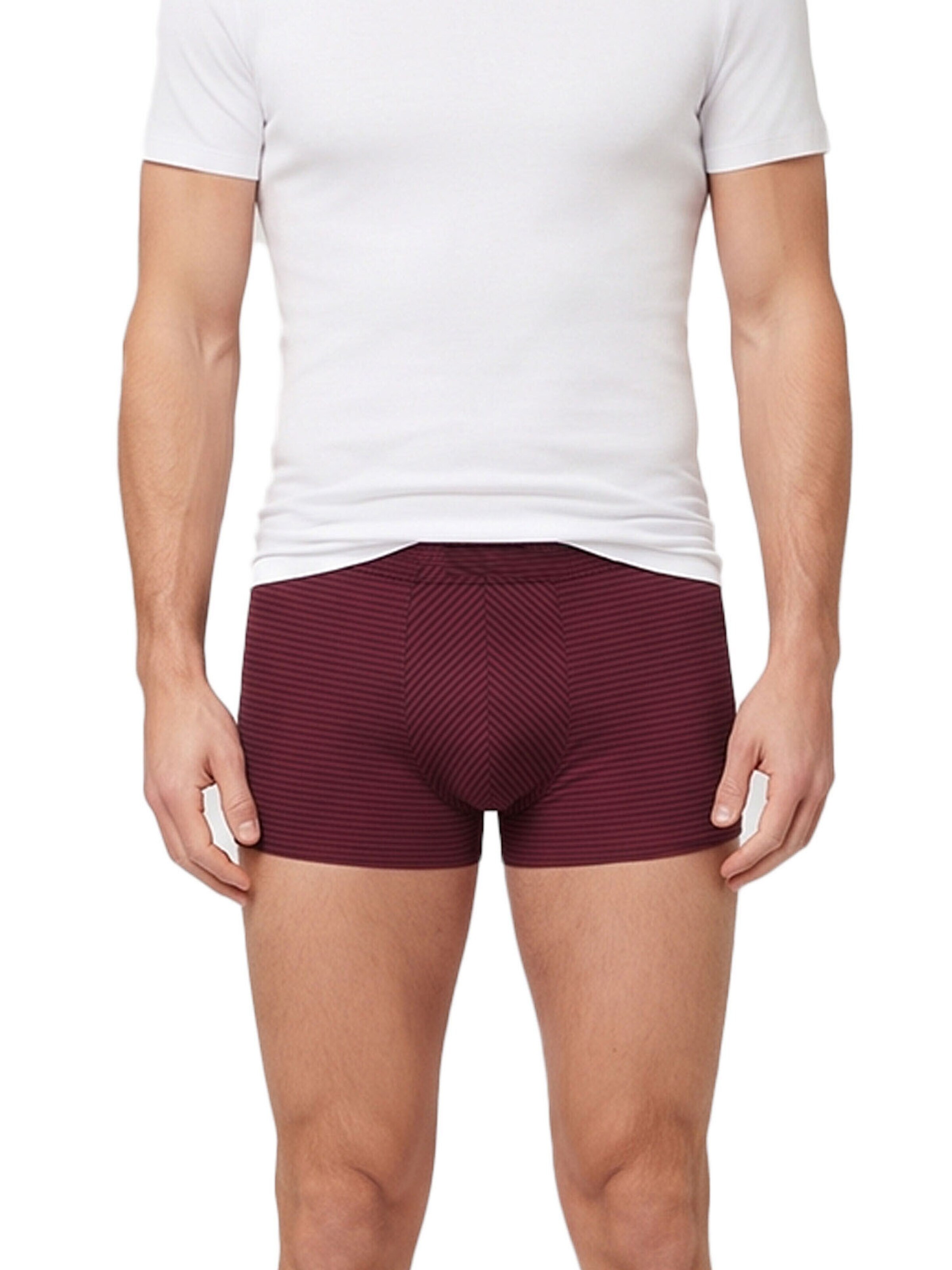 Ammann Boxershorts 'Cotton & More'‌‌‌‌‌‌‌‌ in Rot