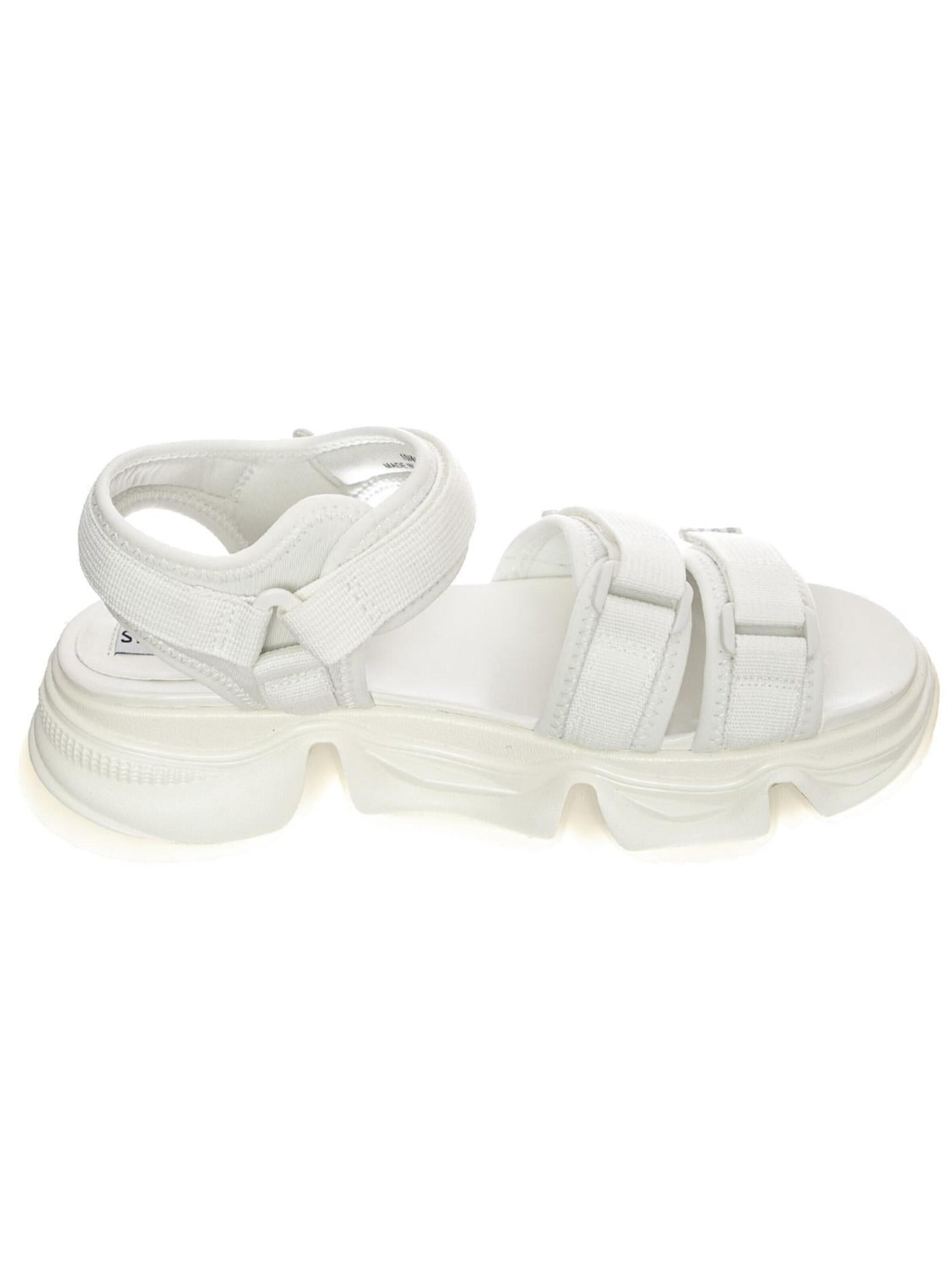 STEVE MADDEN Sandals in White