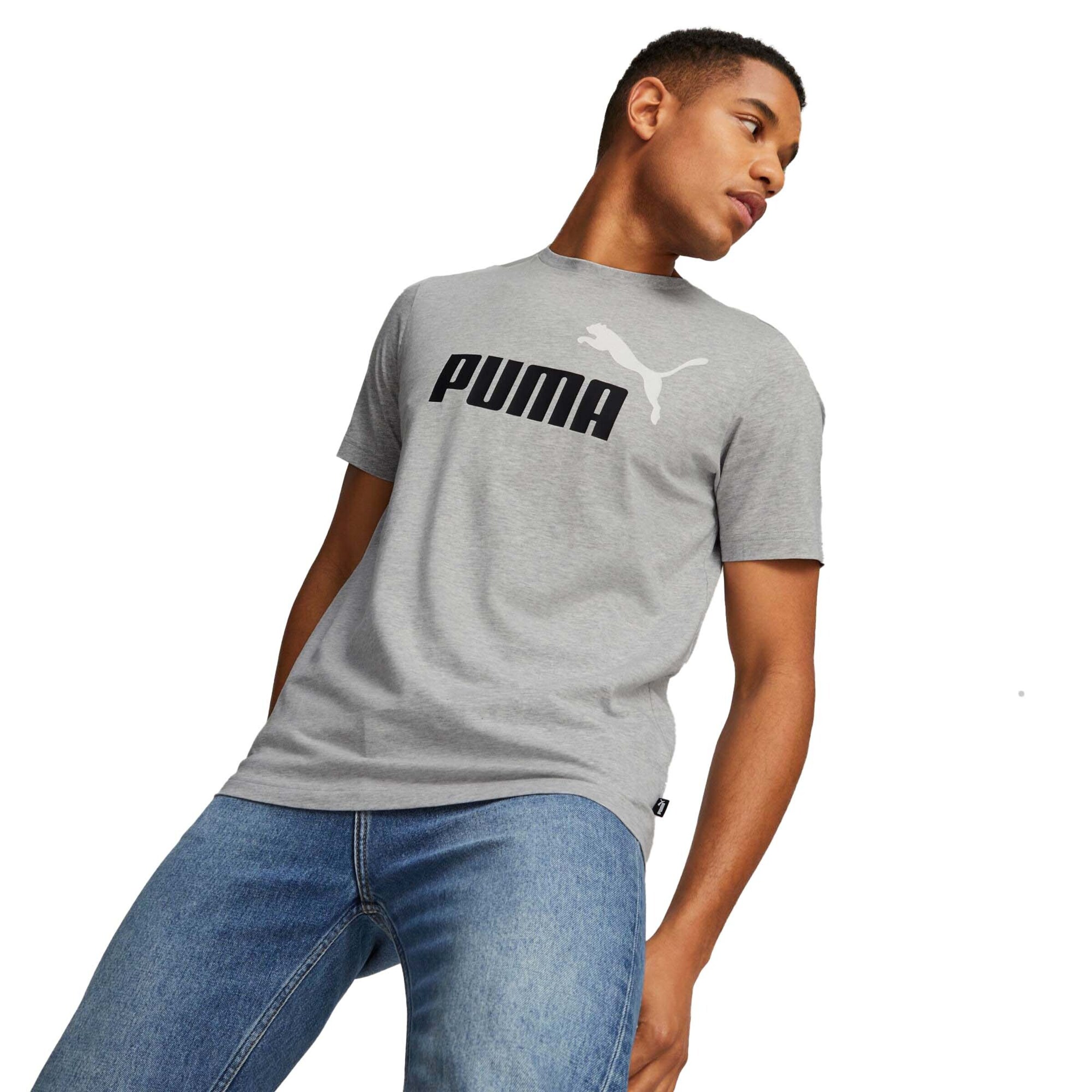 T-Shirt fonctionnel 'Essentials' PUMA en gris
