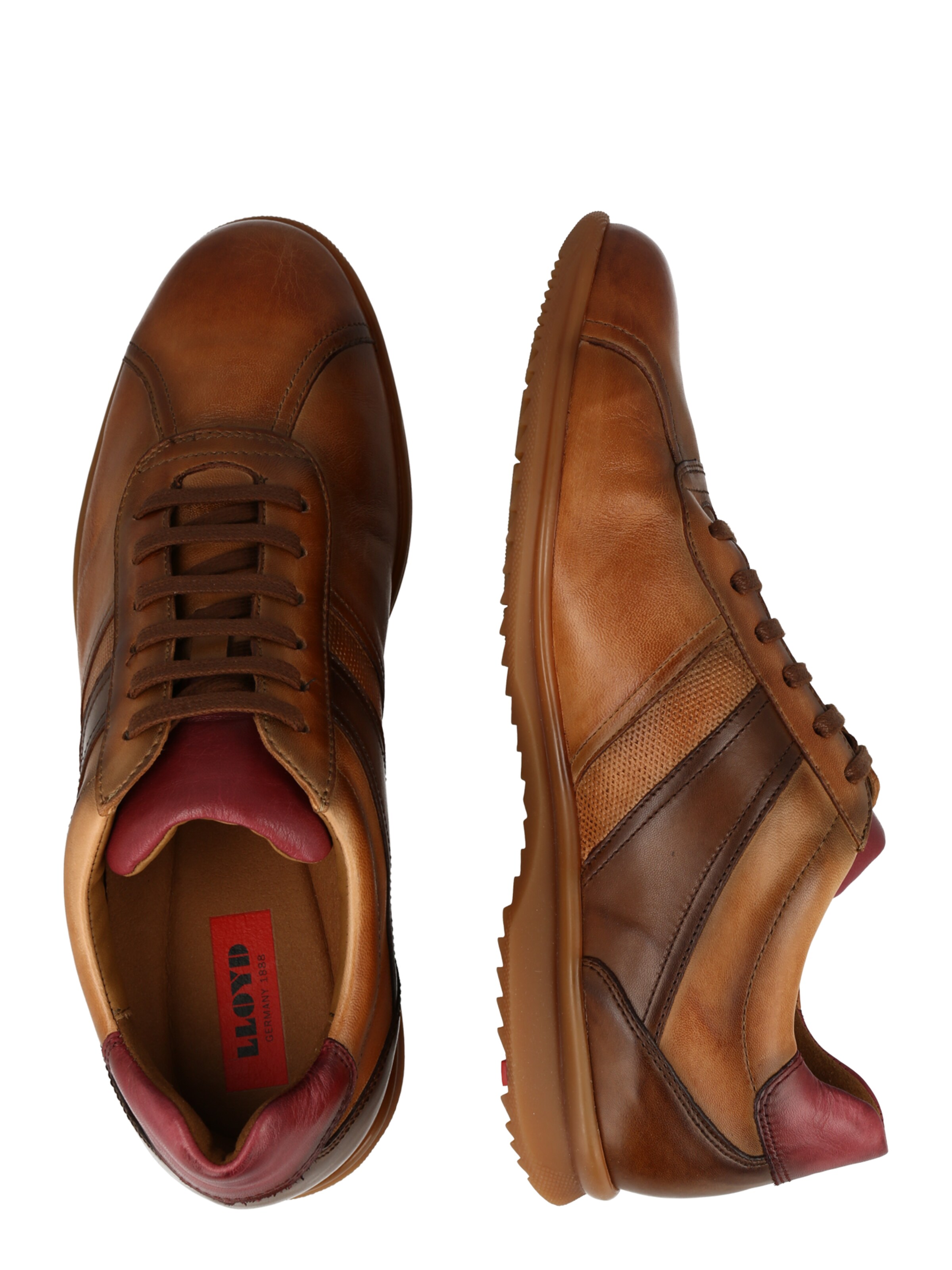 LLOYD - Sapatilhas baixas 'Davos' em castanho