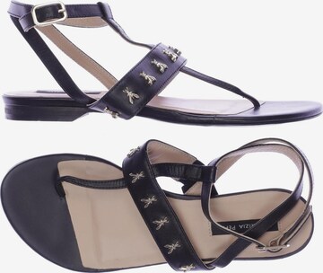PATRIZIA PEPE Sandals & High-Heeled Sandals in 36 in Black: front