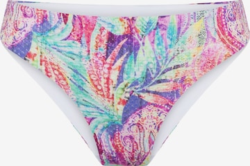 Bas de bikini LingaDore en blanc : devant