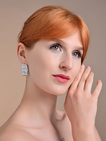 Akzent Earrings 'langlebig' in Silver: front