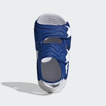 Chaussures ouvertes 'Altaswim' ADIDAS SPORTSWEAR en bleu