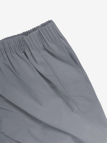 Regular Pantalon outdoor 'Portland' normani en gris