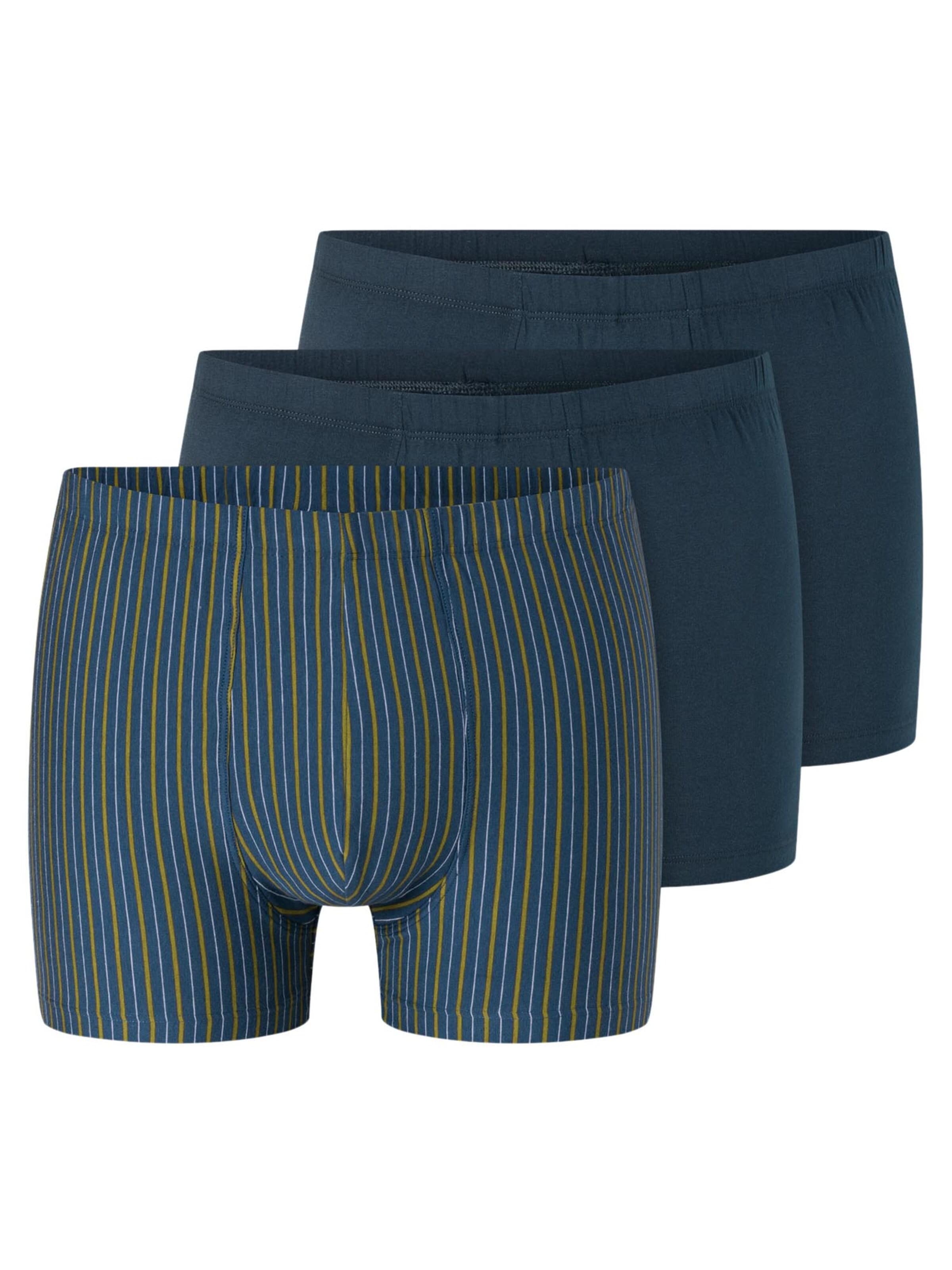 Boxers '95/5 Essentials - Cotton' SCHIESSER en bleu : devant