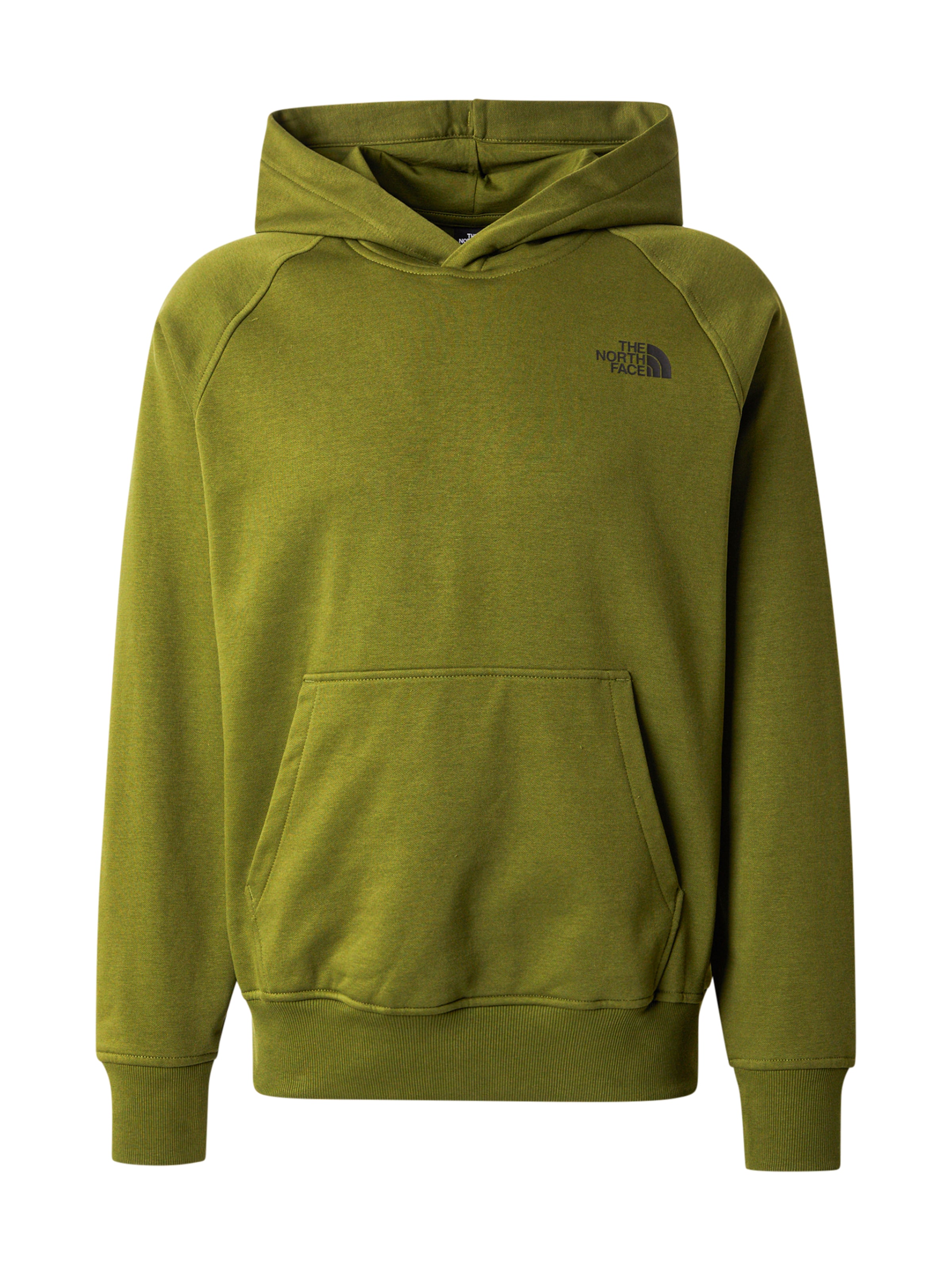 žalia THE NORTH FACE Megztinis be užsegimo 'Redbox': priekis