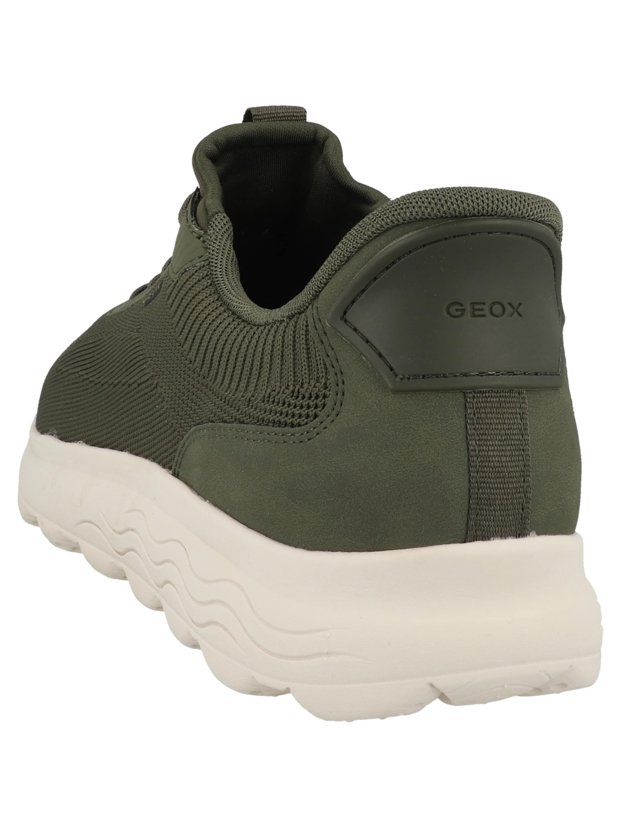 GEOX Sneaker 'Spherica Plus' in Grün