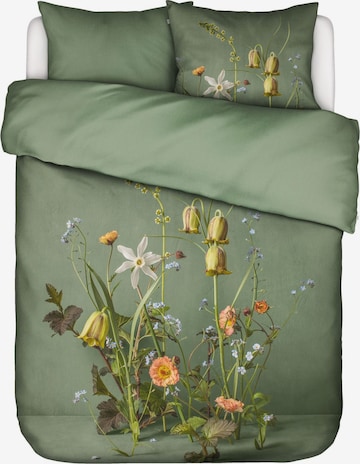 ESSENZA Duvet Cover 'Ficaria' in Green: front