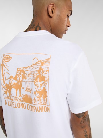 balta DICKIES Marškinėliai 'COMPANION'