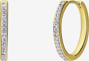 Lucardi Ohrringe in Gold: Vorderseite