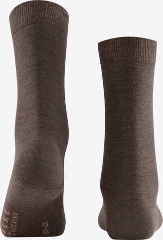 FALKE Socken in Braun