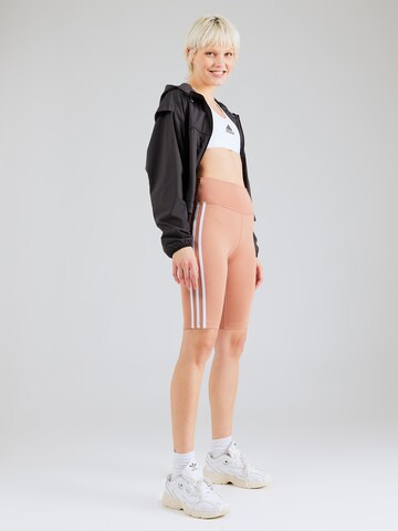 ADIDAS ORIGINALS - Skinny Leggings 'Adicolor Classics' en naranja