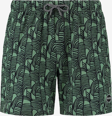 Shorts de bain Shiwi en vert : devant