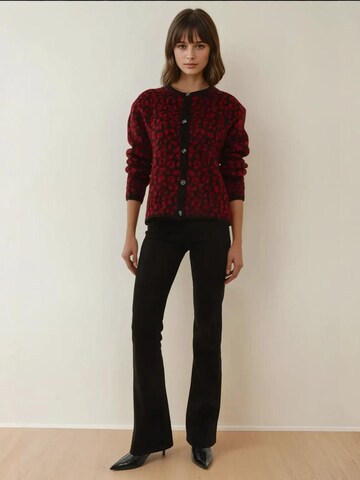 Giacchetta di Hiccup in rosso