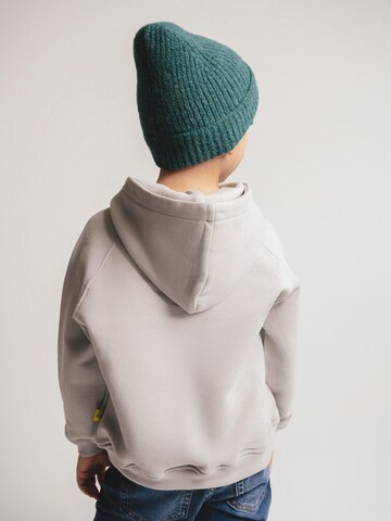 SATURNDAY Sweatshirt 'Krokodil Scooter' in Grijs