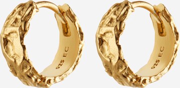 ENAMEL Copenhagen Earrings 'Nela' in Gold: front