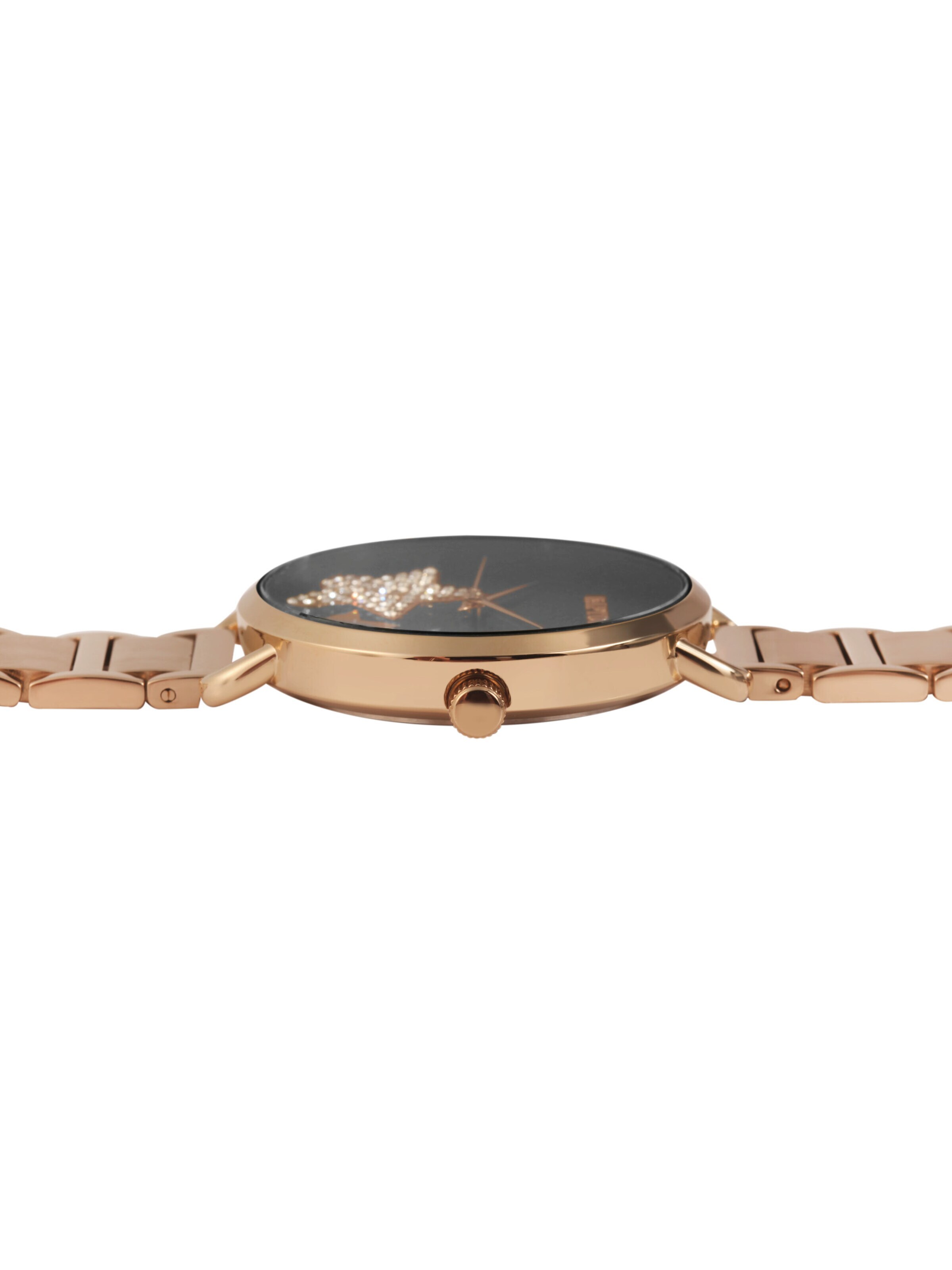 Raptor Analog Watch 'Sina, 3 ATM' in Gold